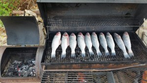 20150719_151020_resized