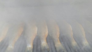 20150719_155212_resized