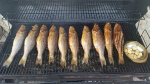 20150719_180907_resized